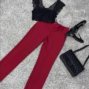 NWT Express Columnist Pants